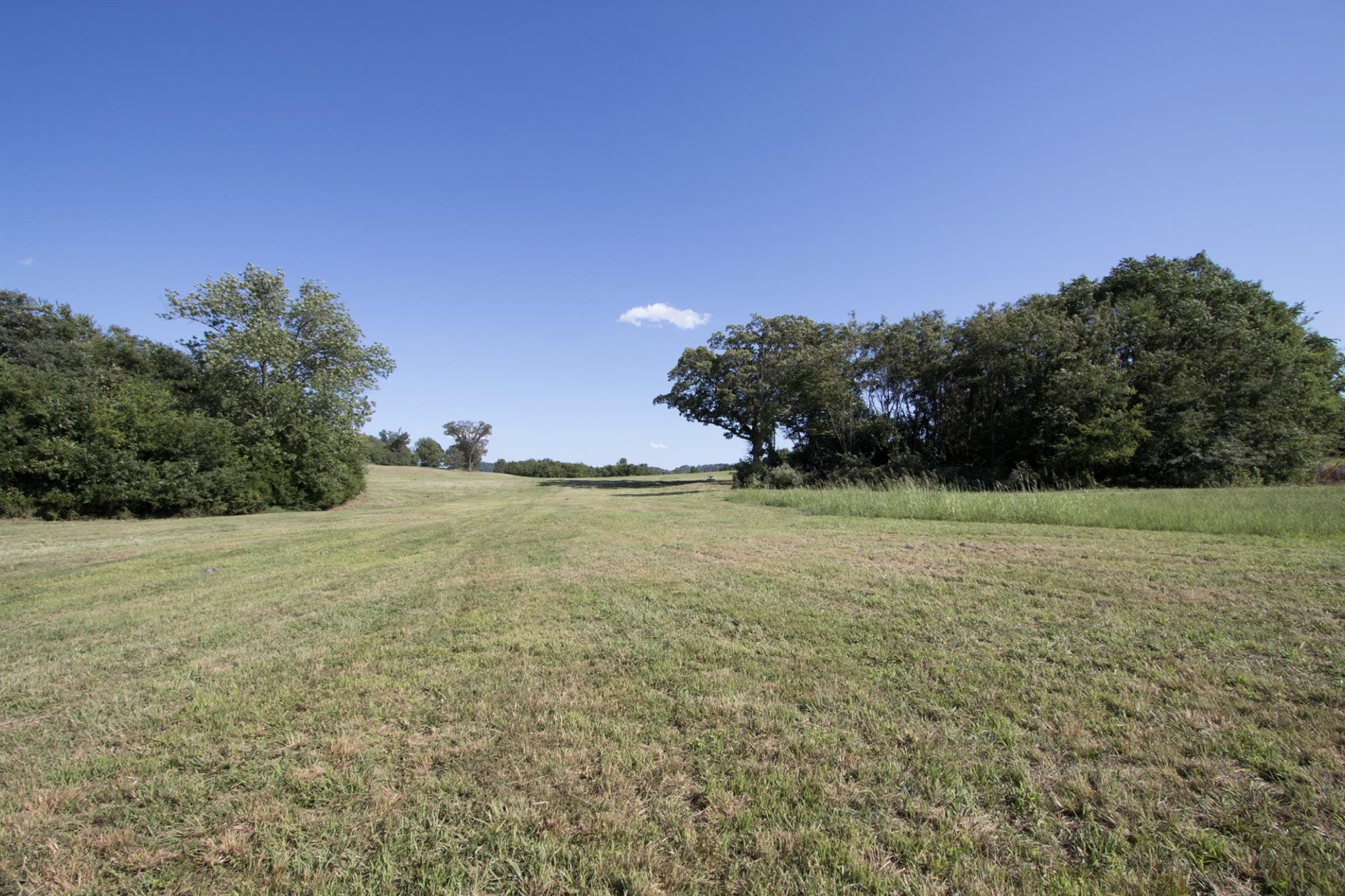 2845 Beech Log Road Watertown, TN 37184 - Photo 26 of 30 a view of a field with trees in background