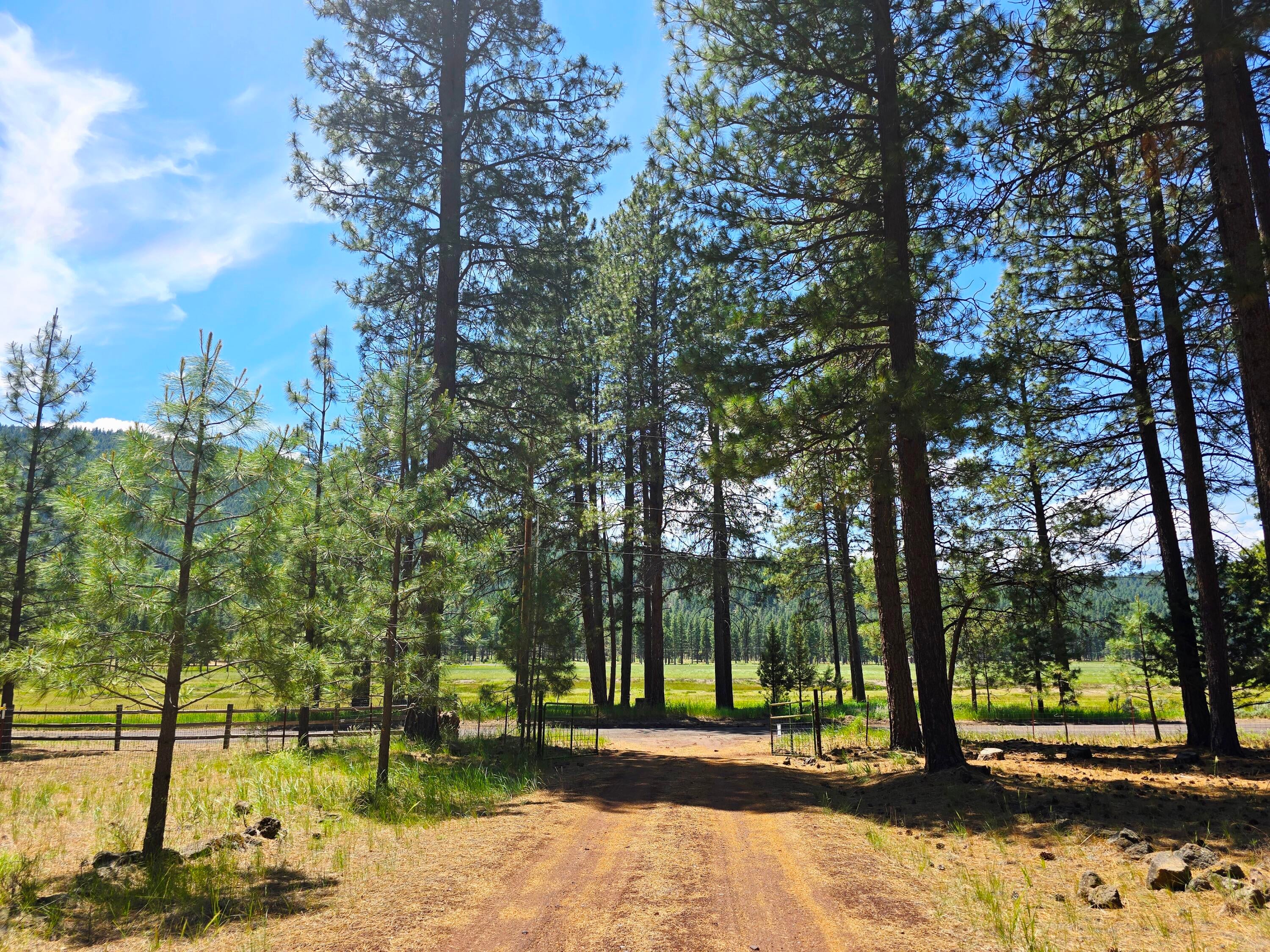 10211 Old Fort Road Klamath Falls, OR 97601 - Photo 61 of 79 Driveway