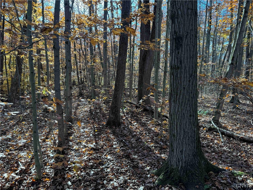 0 Mack School Road Arkport, NY 14807 - Photo 1 of 1