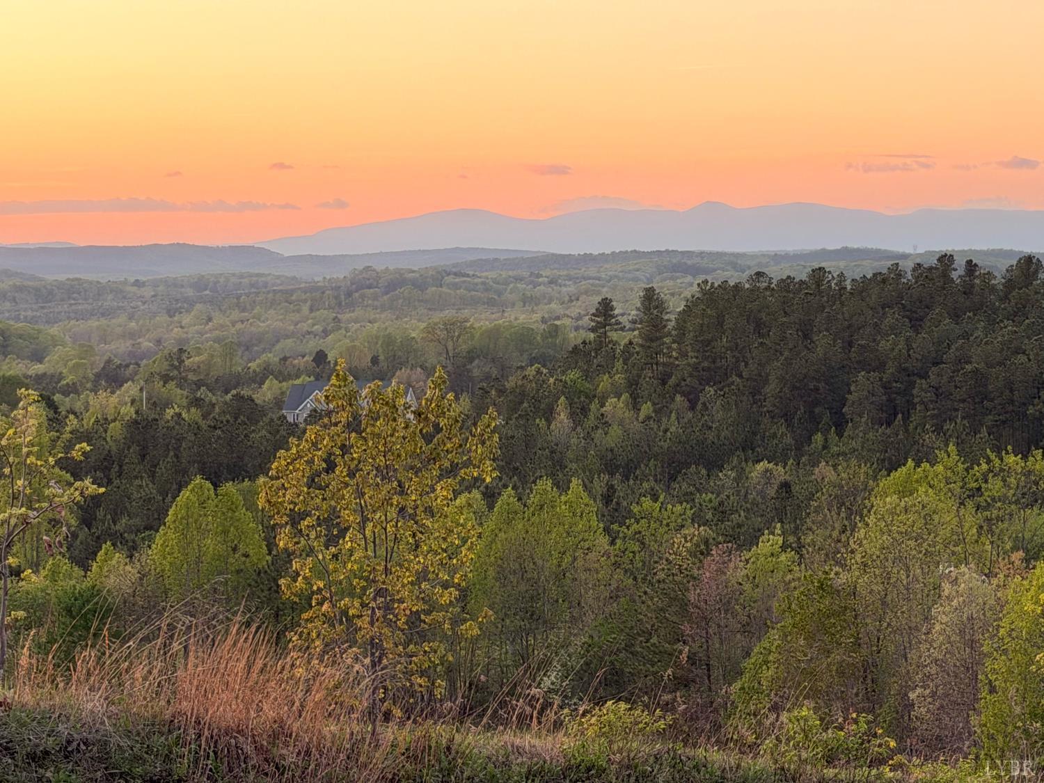 0 Gardner Farm Road Appomattox, VA 24522 - Photo 4 of 10