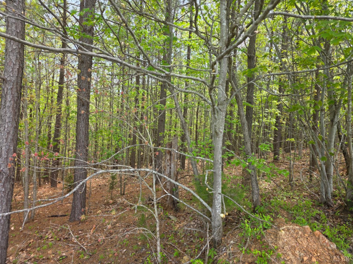 0 Gardner Farm Road Appomattox, VA 24522 - Photo 8 of 10