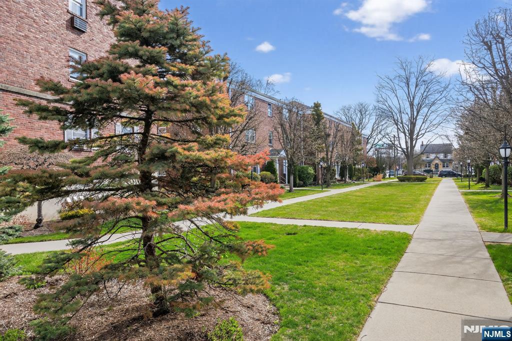 243 Johnson Avenue, Unit L4 Hackensack, NJ 07601 - Photo 22 of 25 a view of a park with large trees