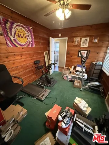 a living room with furniture or couch and a fireplace