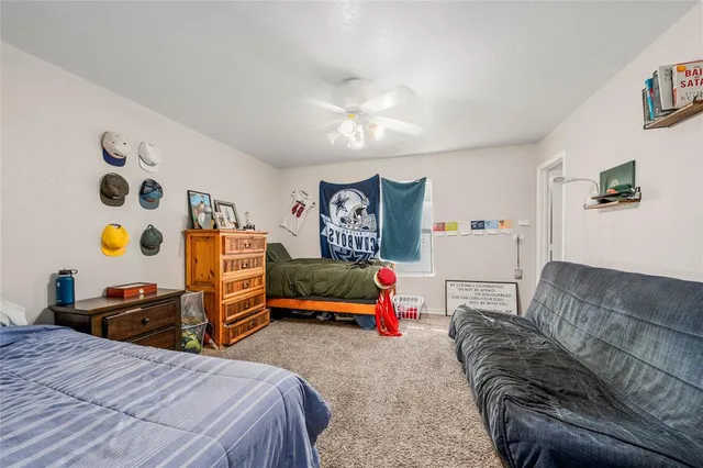 a bedroom with a bed and dresser