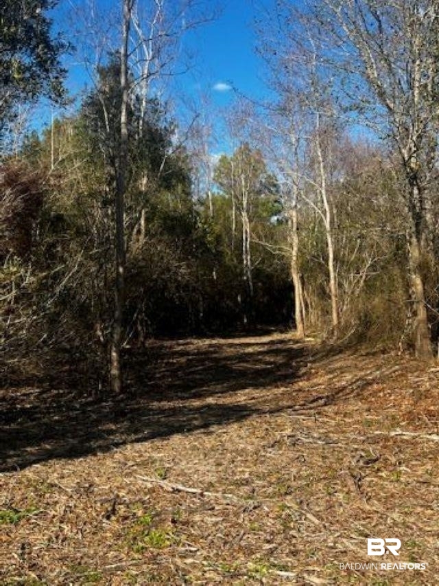 0 Bellingrath Road Theodore, AL 36582 - Photo 5 of 5