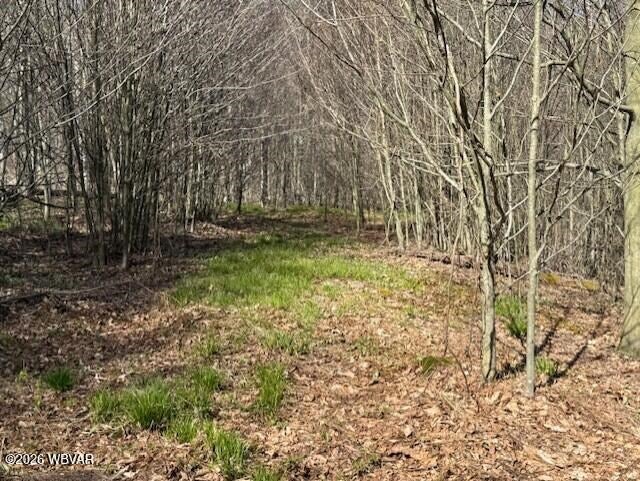 031 Glory Ridge Road Shunk, PA 17768 - Photo 5 of 10 Gallery Image 5