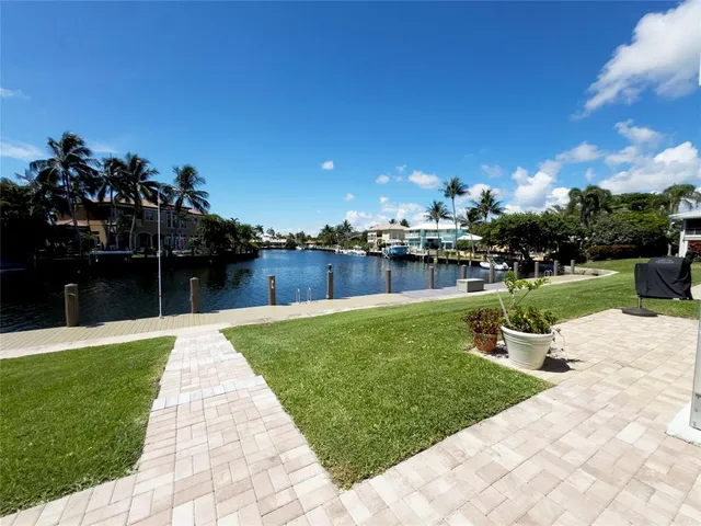 a view of a garden with plants