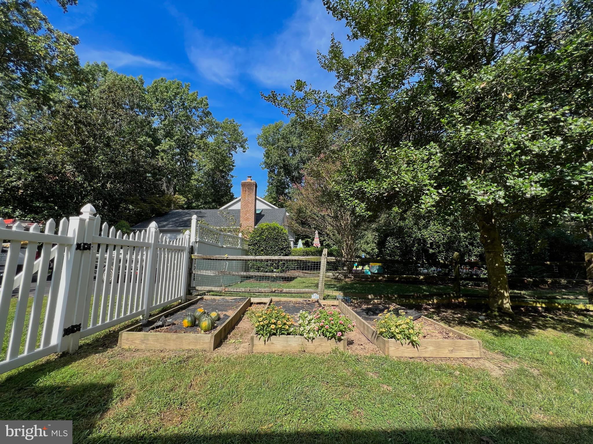 3690 Russell Road Woodbridge, VA 22192 - Photo 7 of 58 Garden