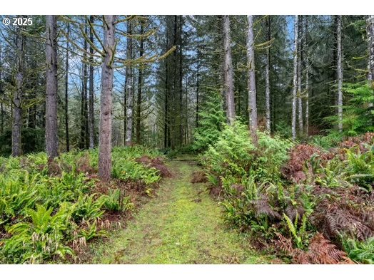 76500 Delena Mayger Road Rainier, OR 97048 - Photo 22 of 24 a view of outdoor space and garden
