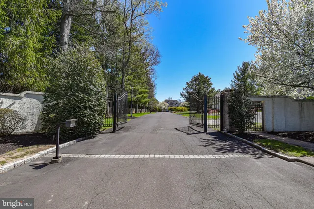 a view of a backyard with large trees