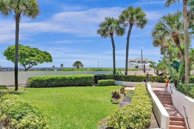 a view of a garden with a tree
