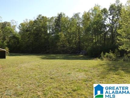 748 Will Keith Road Trussville, AL 35173 - Photo 8 of 44
