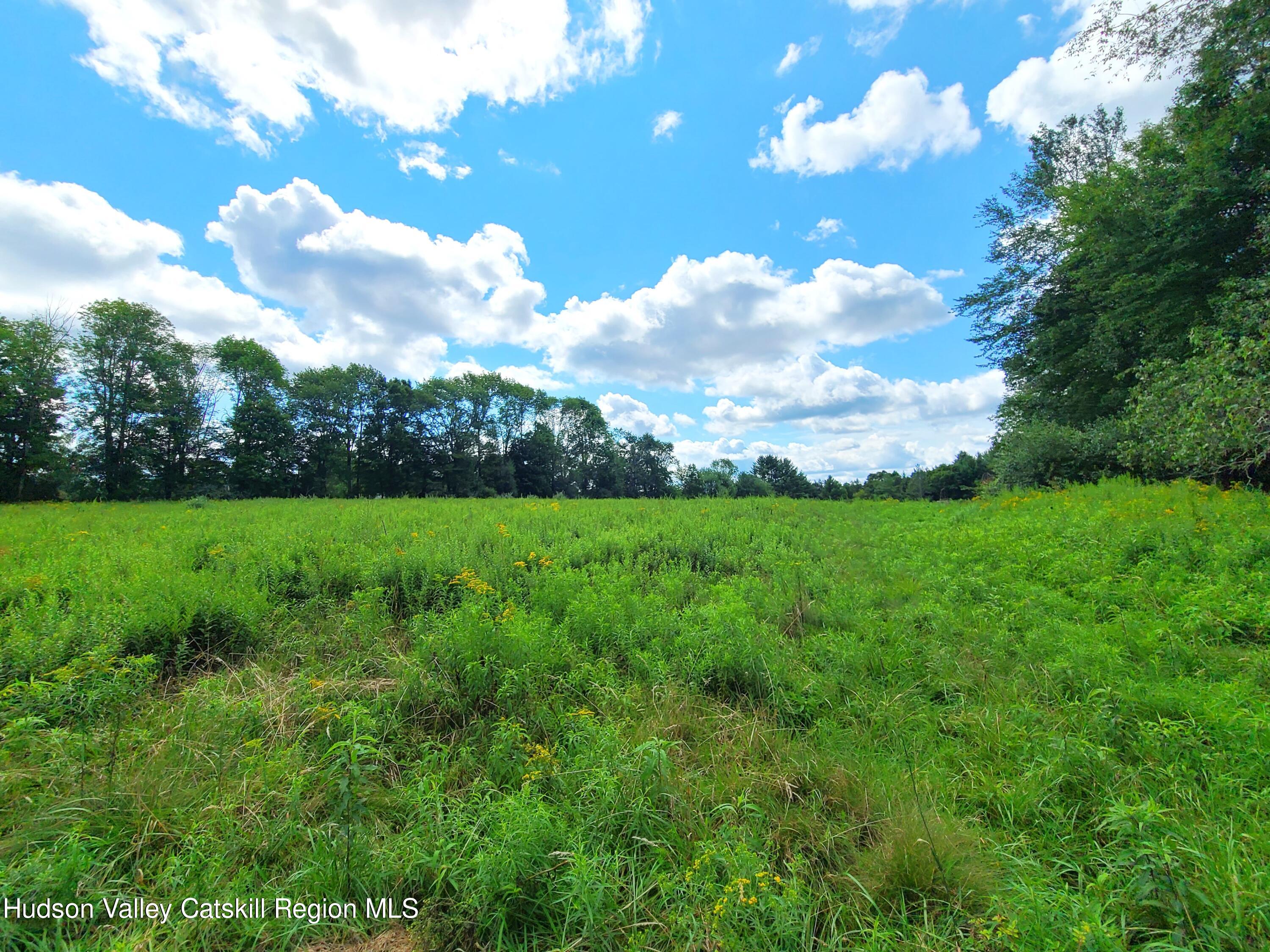 185 Jim Stephenson Road Jeffersonville, NY 12748 - Photo 27 of 31 20240811_110717
