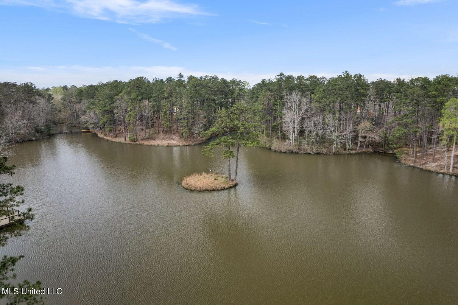 Lot 10 Bridgewater Subdivision Sumrall, MS 39482 - Photo 6 of 6 IMG_0543