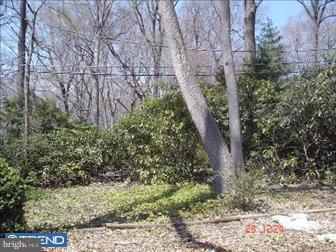 344 Spring Valley Road Springfield, PA 19064 - Photo 3 of 6 View