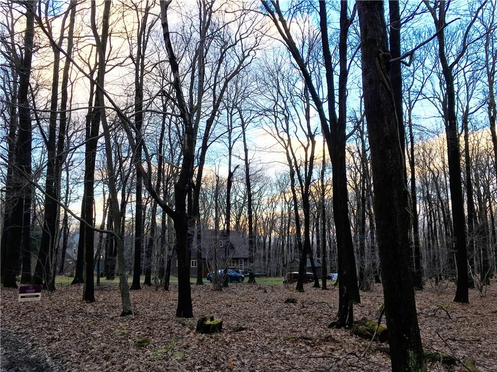 Double Lot - room to expand!