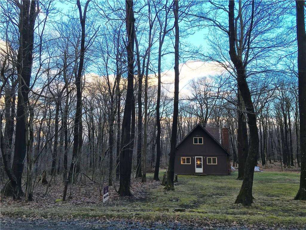 Hiking Trails behind the home!
