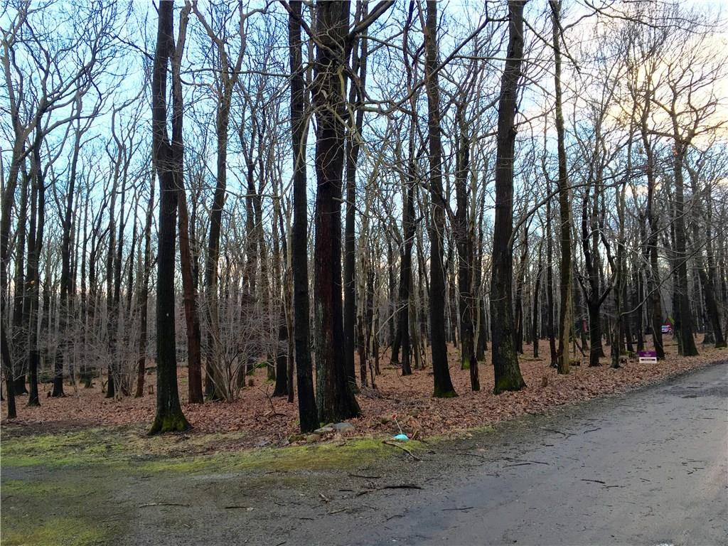 720 Alpine Road Boswell, PA 15531 - Photo 8 of 25 Double Lot.