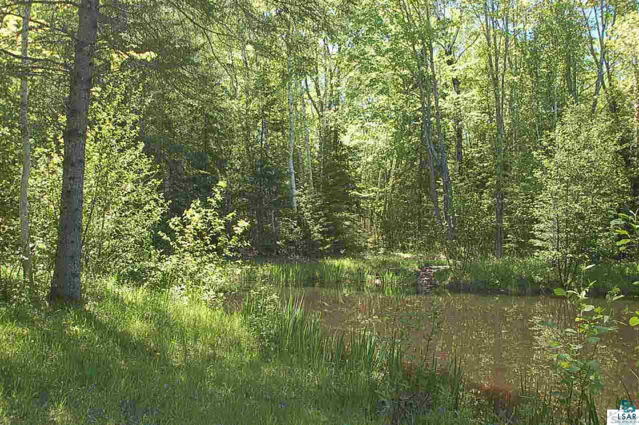 33945 Blueberry Road Bayfield, WI 54814 - Photo 8 of 13 Gallery Image 8