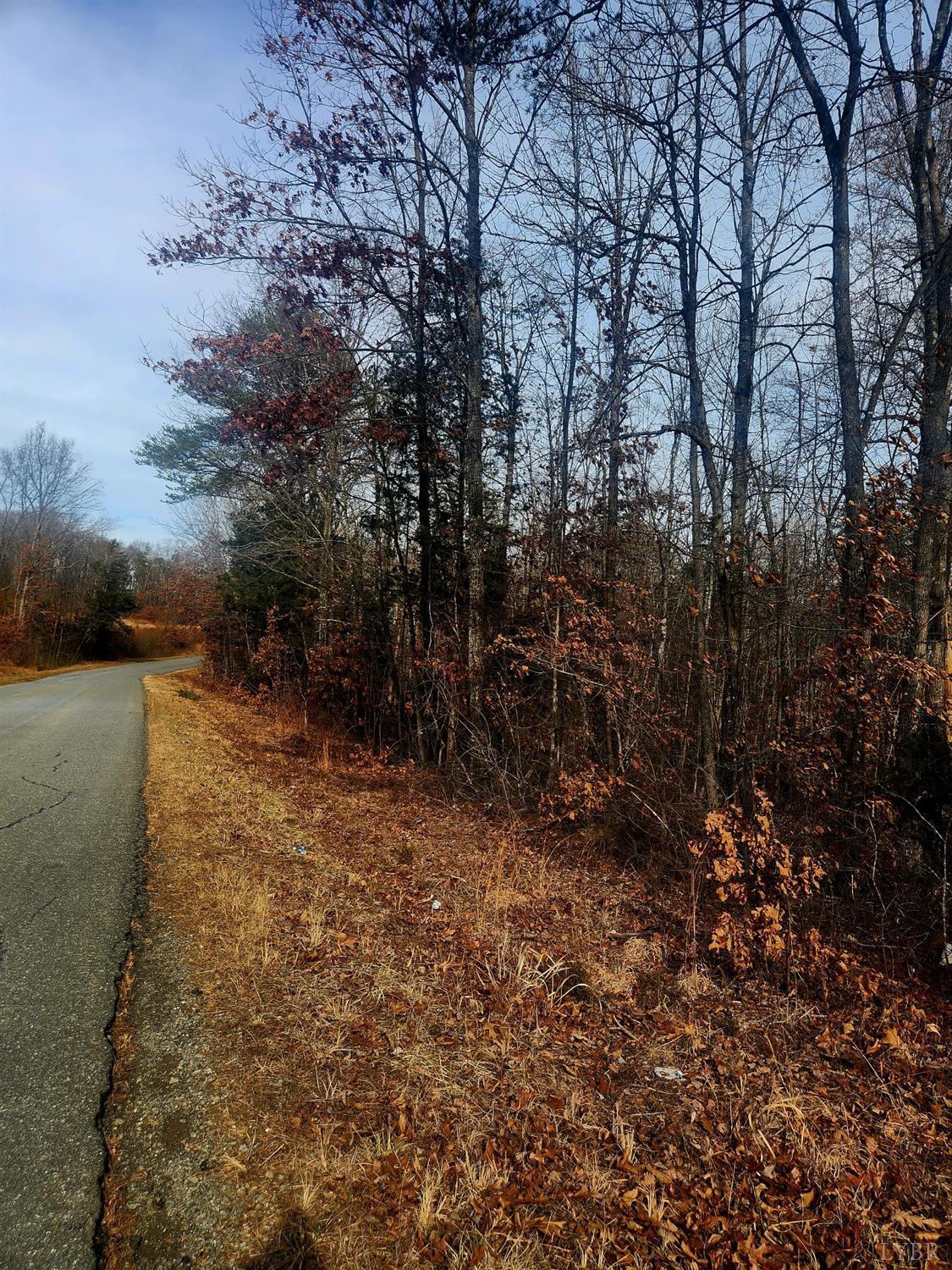 0 Rocky Road Rustburg, VA 24588 - Photo 2 of 5 a view of a yard with trees