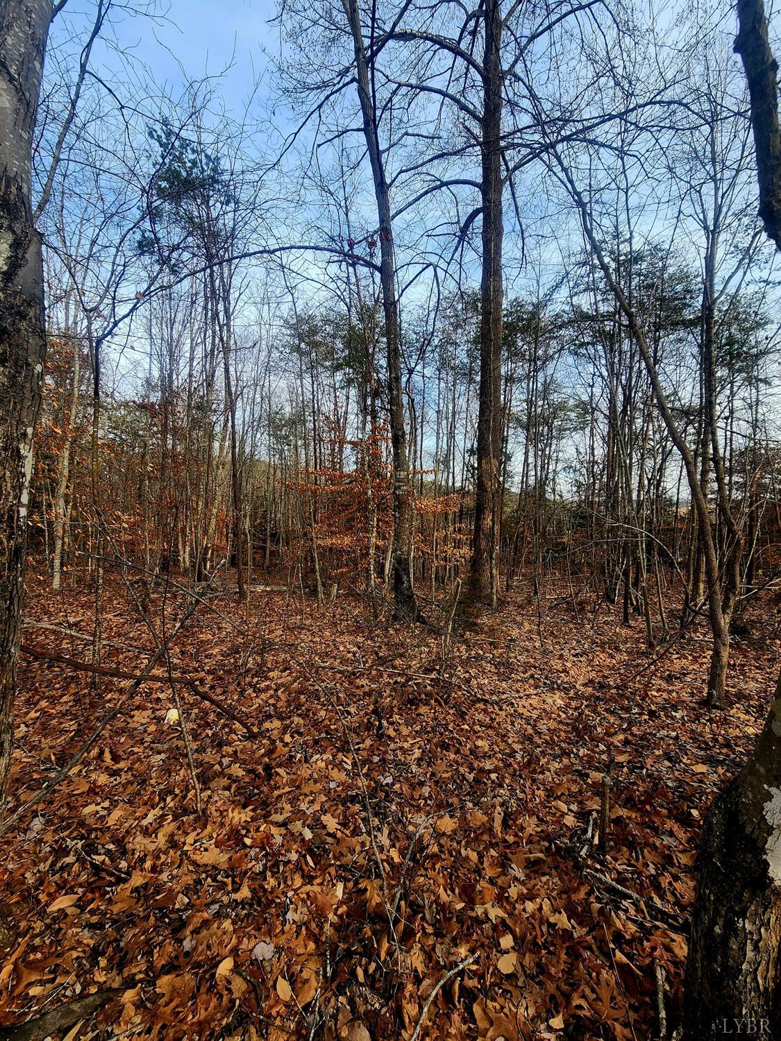 0 Rocky Road Rustburg, VA 24588 - Photo 3 of 5 a backyard of a house with lots of green space