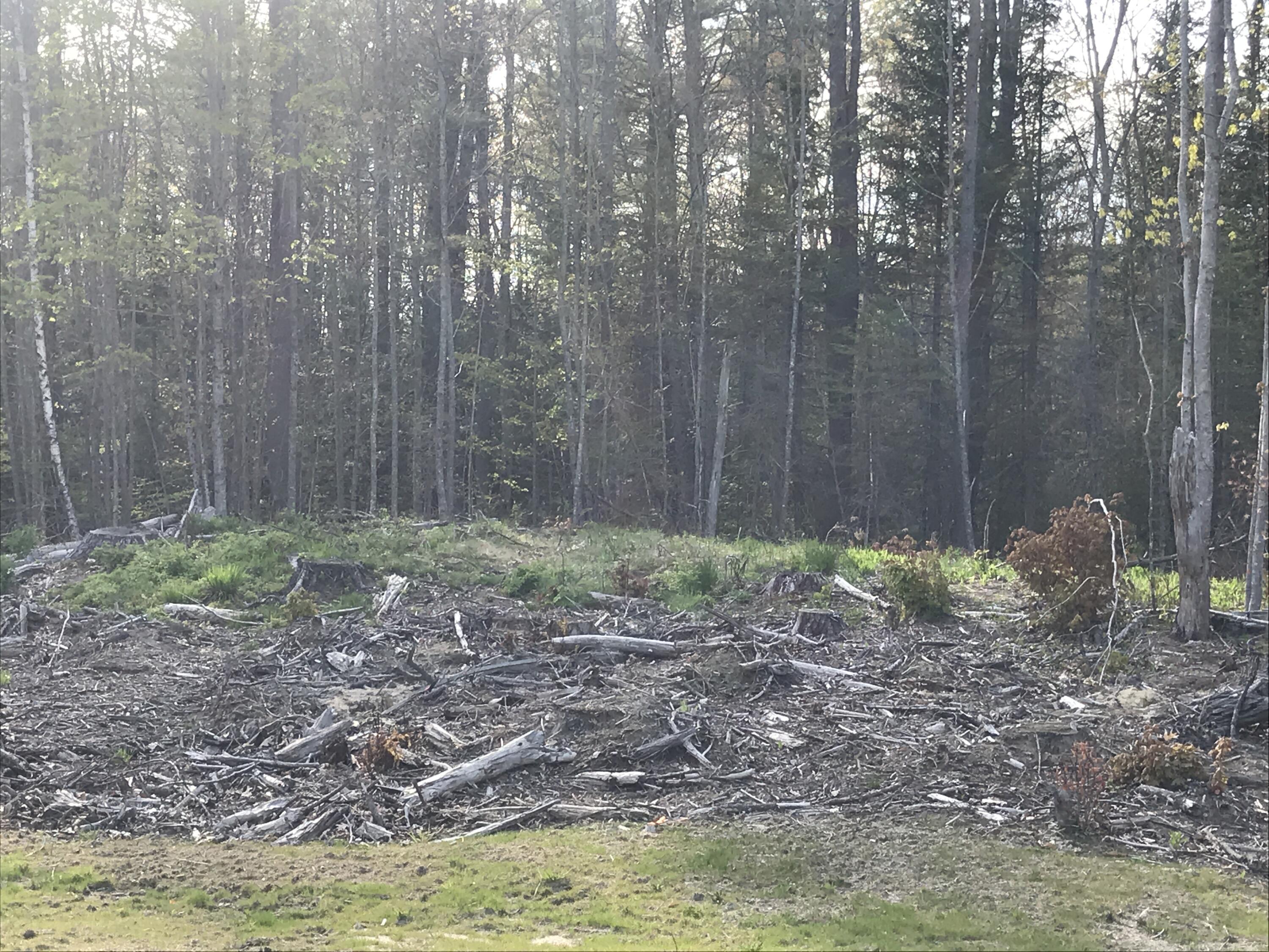 10 Oak Ridge Terrace Arundel, ME 04046 - Photo 3 of 11 11