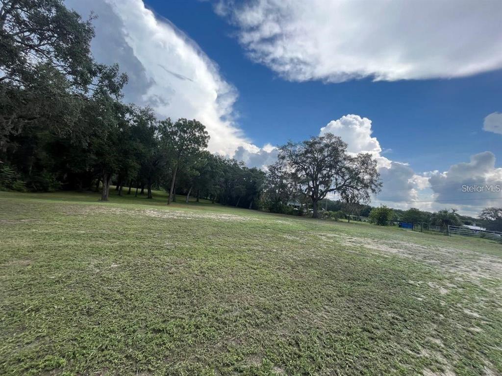 0 Turkey Shoot Road New Port Richey, FL 34654 - Photo 1 of 1 Gallery Image 1