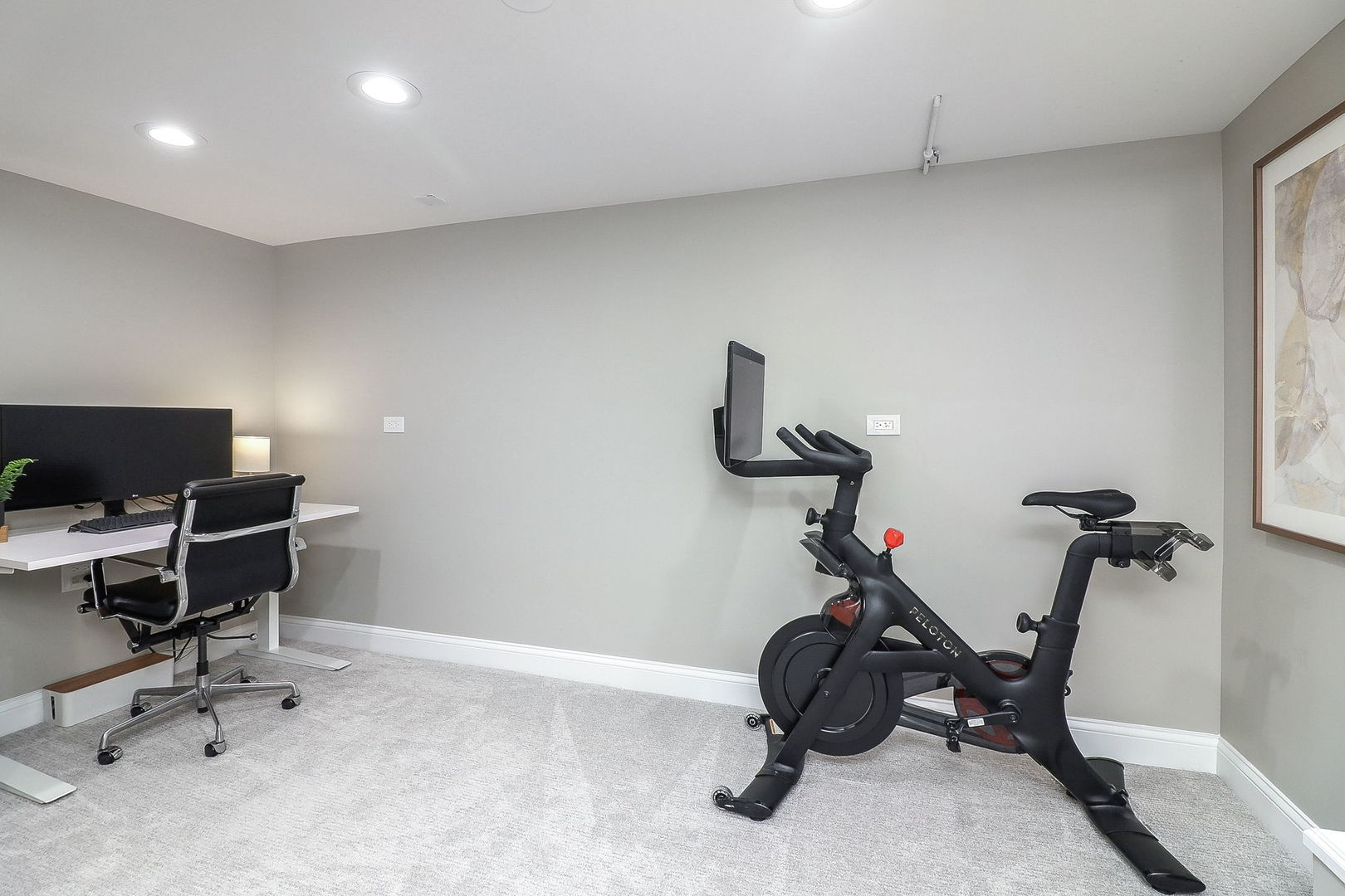 133 South Williston Street Wheaton, IL 60187 - Photo 34 of 43 a view of a workspace with gym equipment