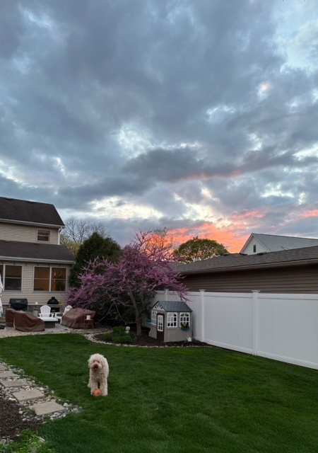 133 South Williston Street Wheaton, IL 60187 - Photo 39 of 43 a view of a garden with houses