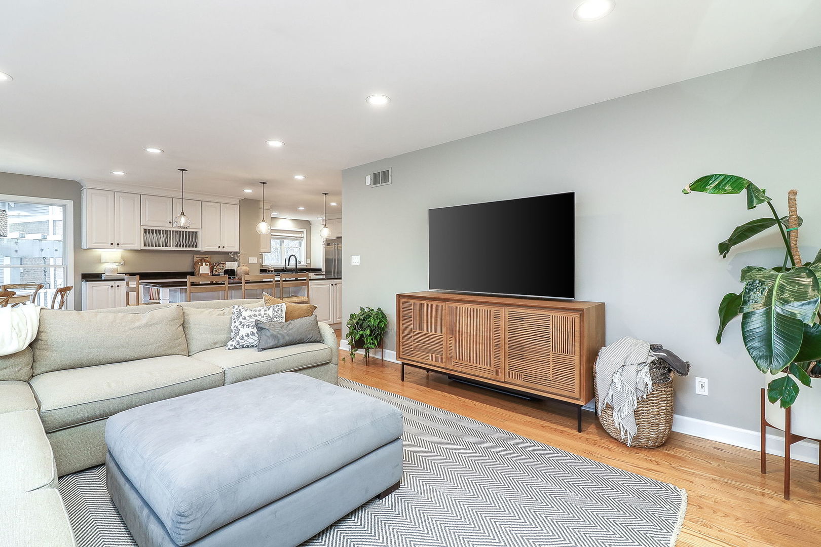 133 South Williston Street Wheaton, IL 60187 - Photo 10 of 43 a living room with furniture and a flat screen tv