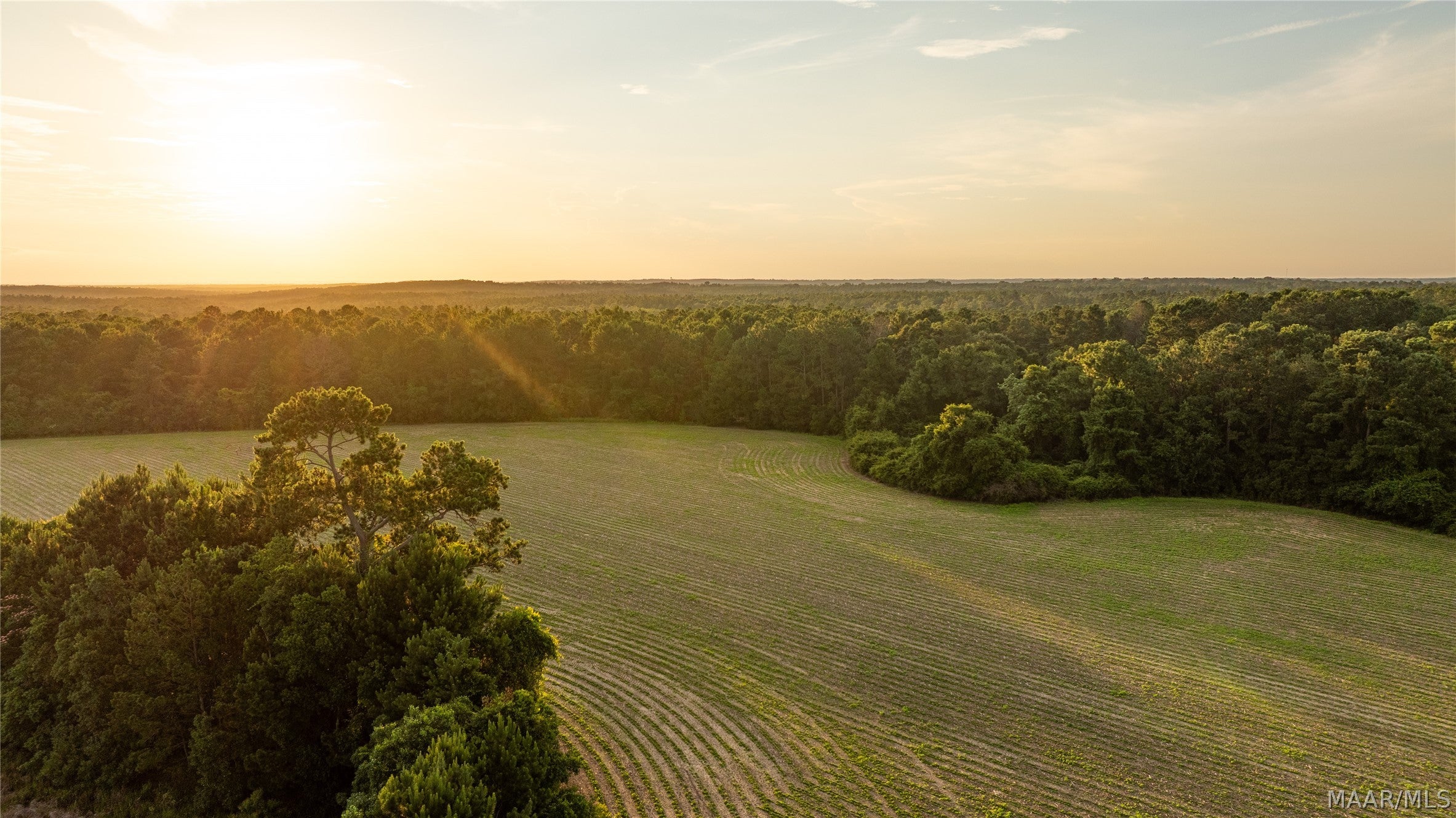 0 Pine Road South Stapleton, AL 36578 - Photo 39 of 53 Gallery Image 39
