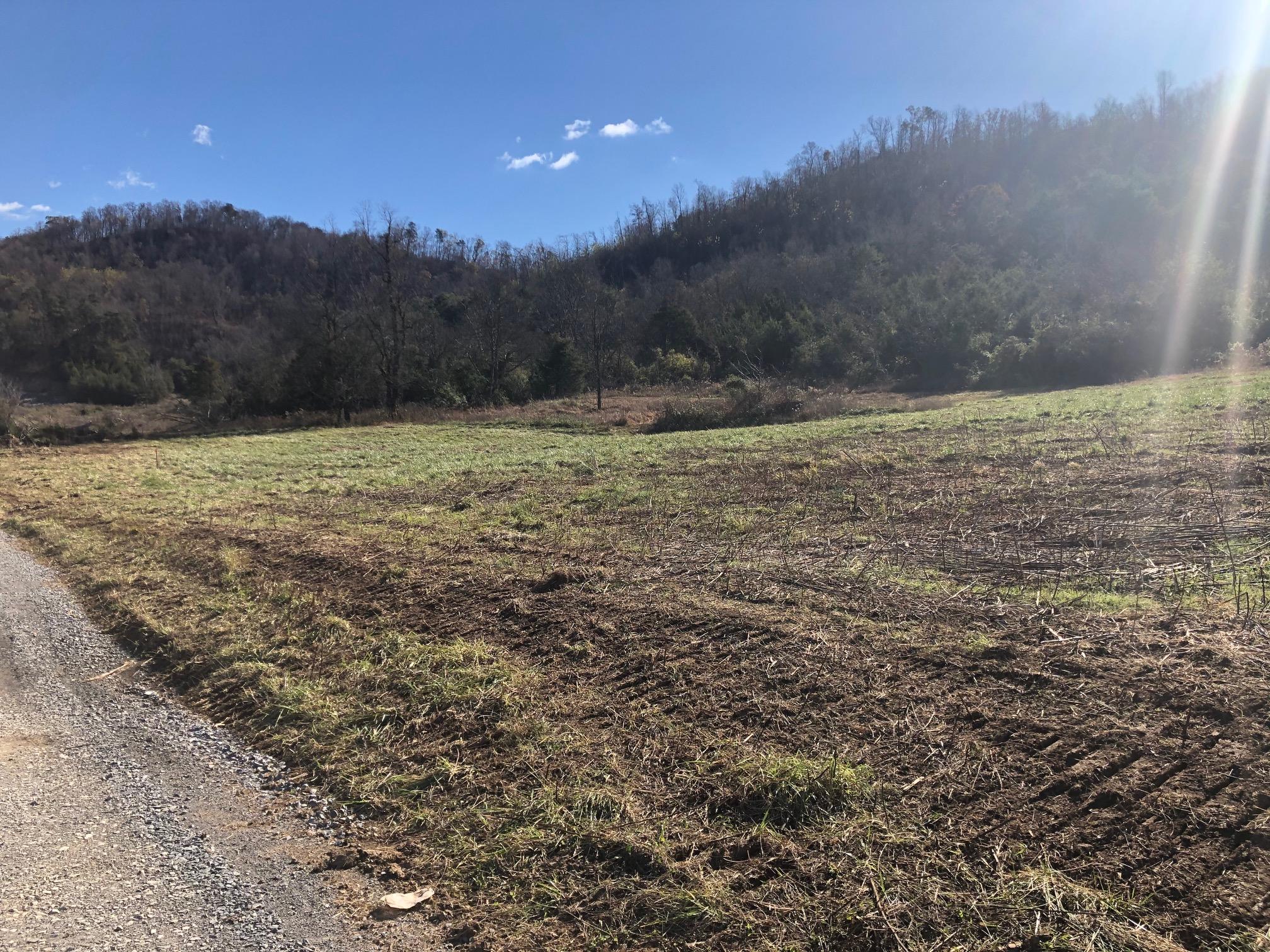 551 Shephards Chapel Road, Unit 10 Rogersville, TN 37857 - Photo 4 of 11 IMG_5197