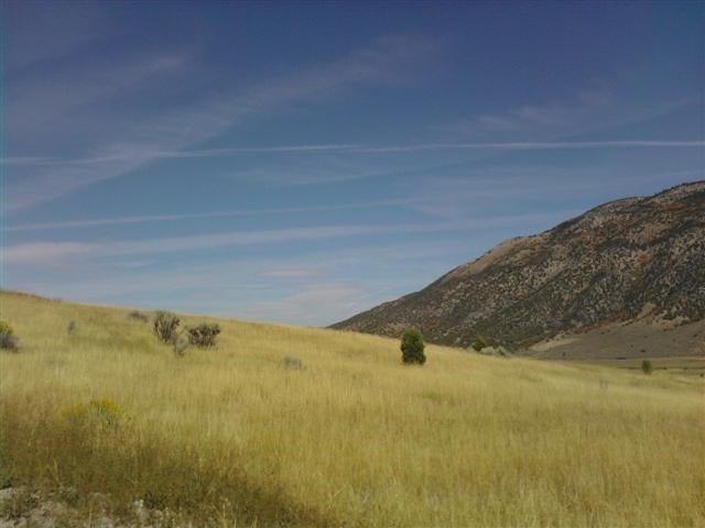 0 Red Fox Road Lava Hot Springs, ID 83246 - Photo 1 of 1 Gallery Image 1