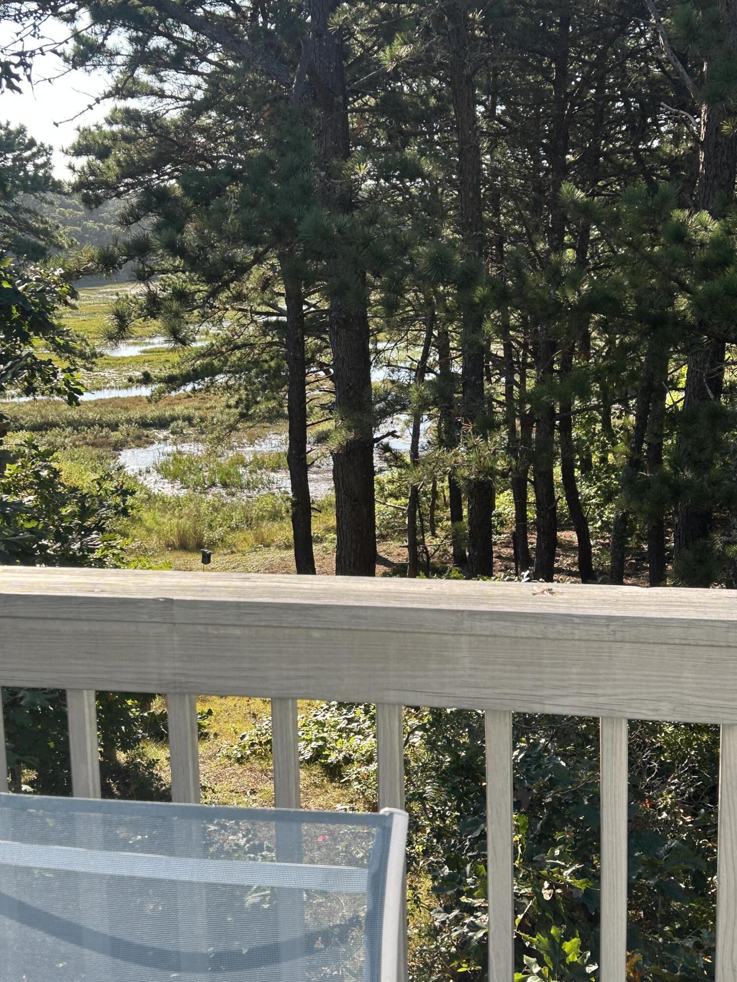 190 Lieutenant Island Road Wellfleet, MA 02667 - Photo 22 of 53 IMG_6595
