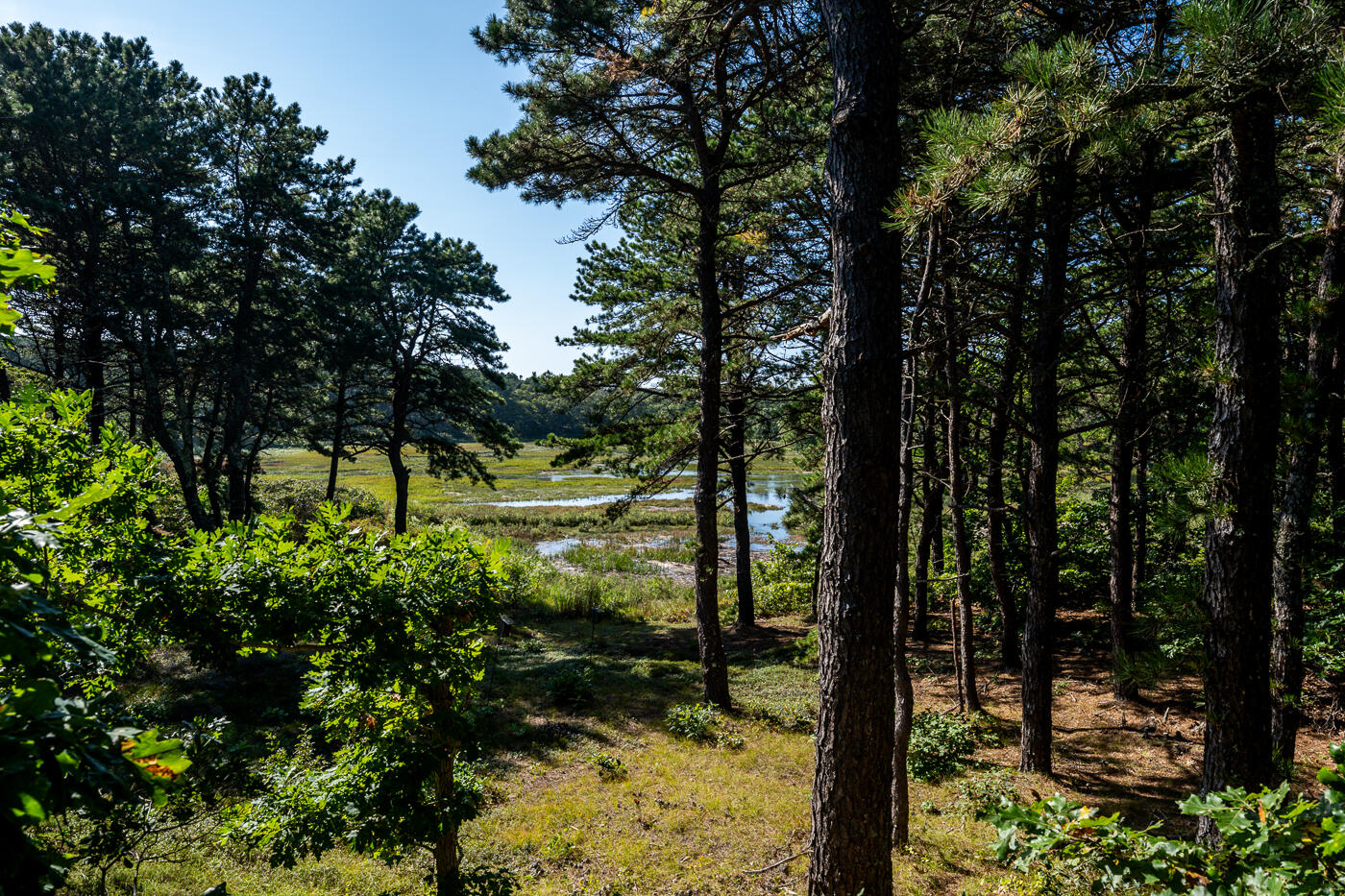 190 Lieutenant Island Road Wellfleet, MA 02667 - Photo 6 of 53 back3