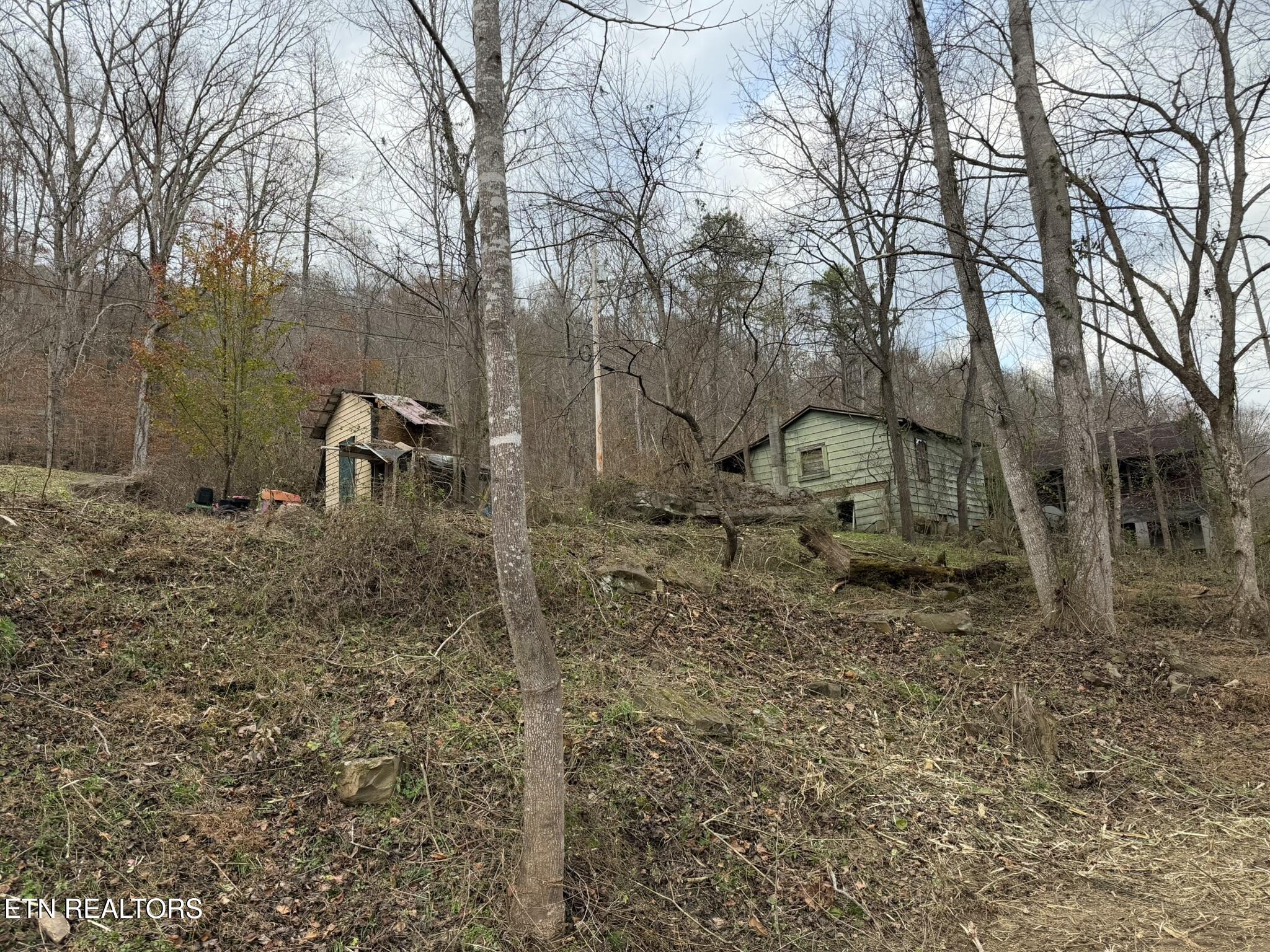 7063 Highway 25W Duff, TN 37729 - Photo 28 of 30 IMG_9669