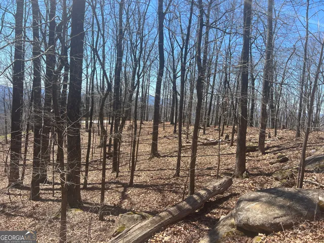 a view of a park with tree