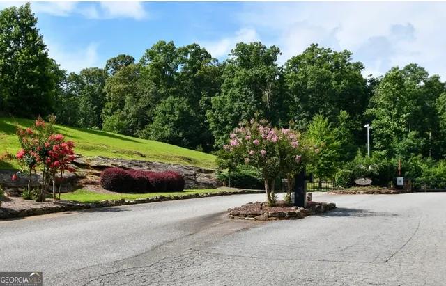a view of a street with a tree