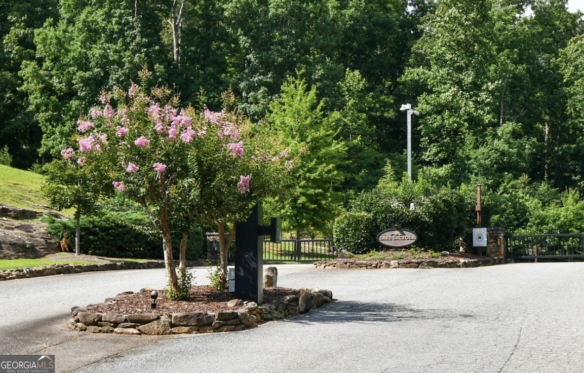 58 Mountainside Drive Cleveland, GA 30528 - Photo 18 of 30 a view of a street with a tree
