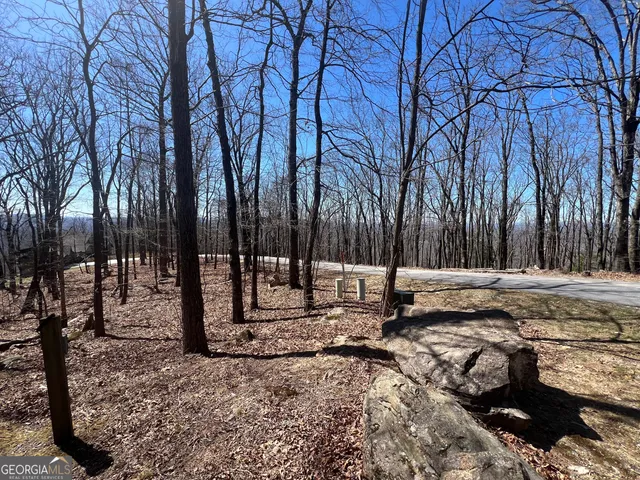 a view of a street with a large tree