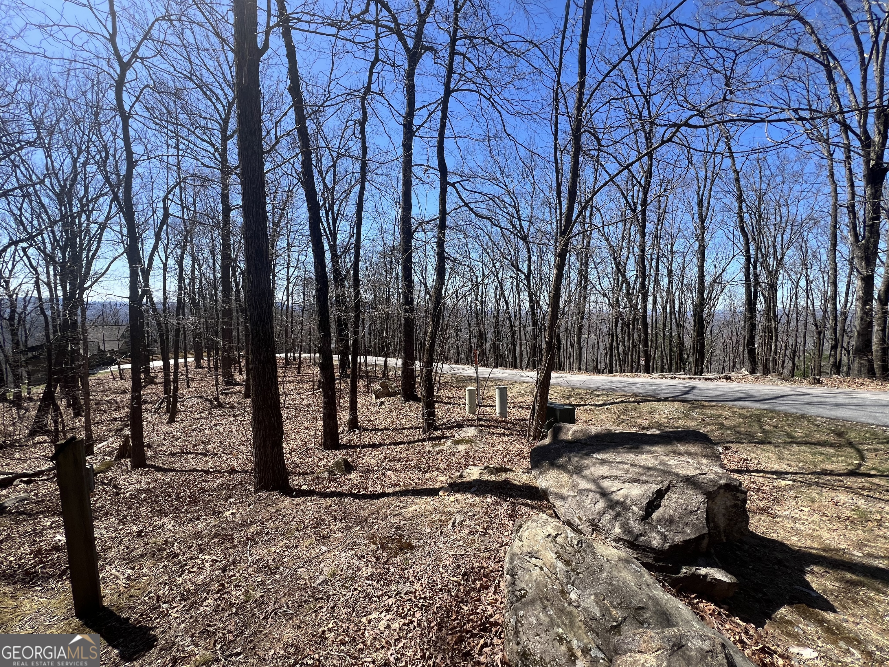 58 Mountainside Drive Cleveland, GA 30528 - Photo 2 of 30 a view of a park with tree