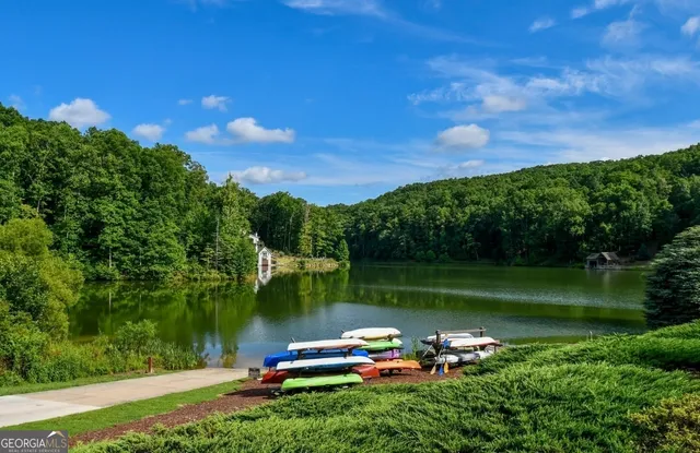 a view of a pathway of a park