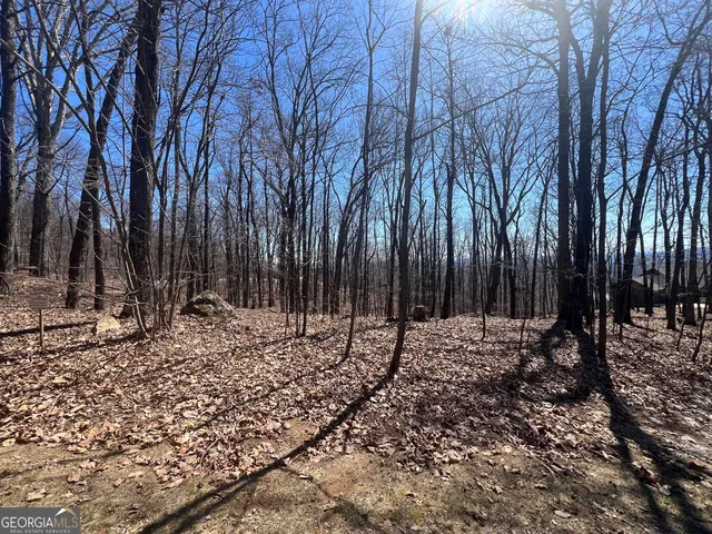 a backyard of a house with lots of green space and a bench