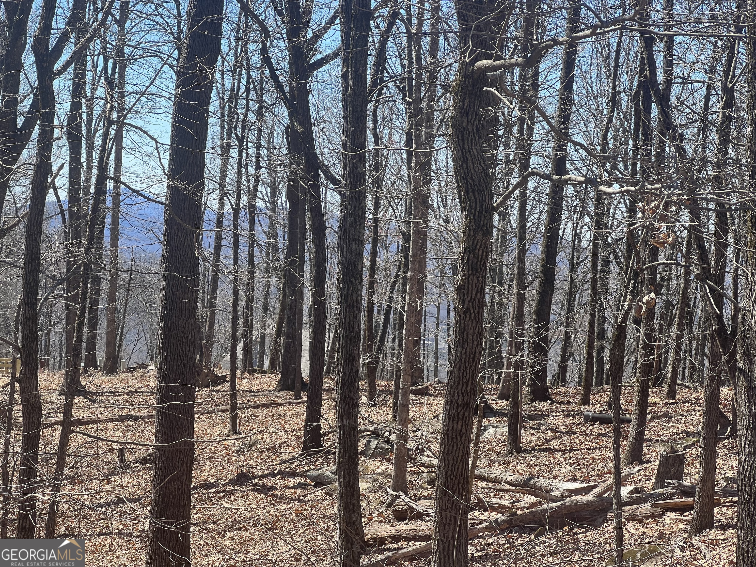 58 Mountainside Drive Cleveland, GA 30528 - Photo 6 of 30 a view of a forest