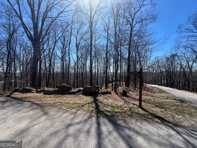 a backyard of a house with trees covered with snow
