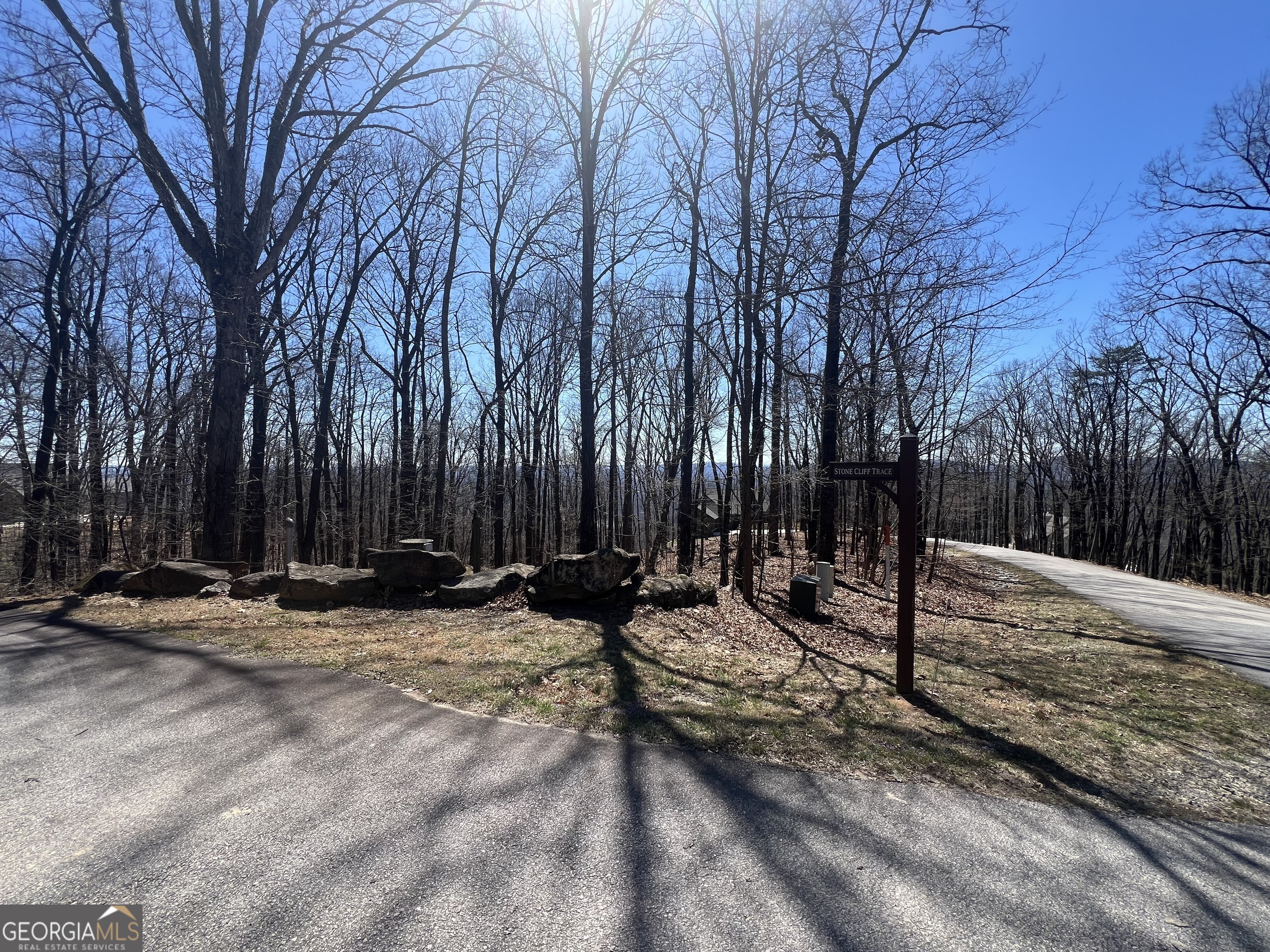 58 Mountainside Drive Cleveland, GA 30528 - Photo 10 of 30 a view of a outdoor space with trees