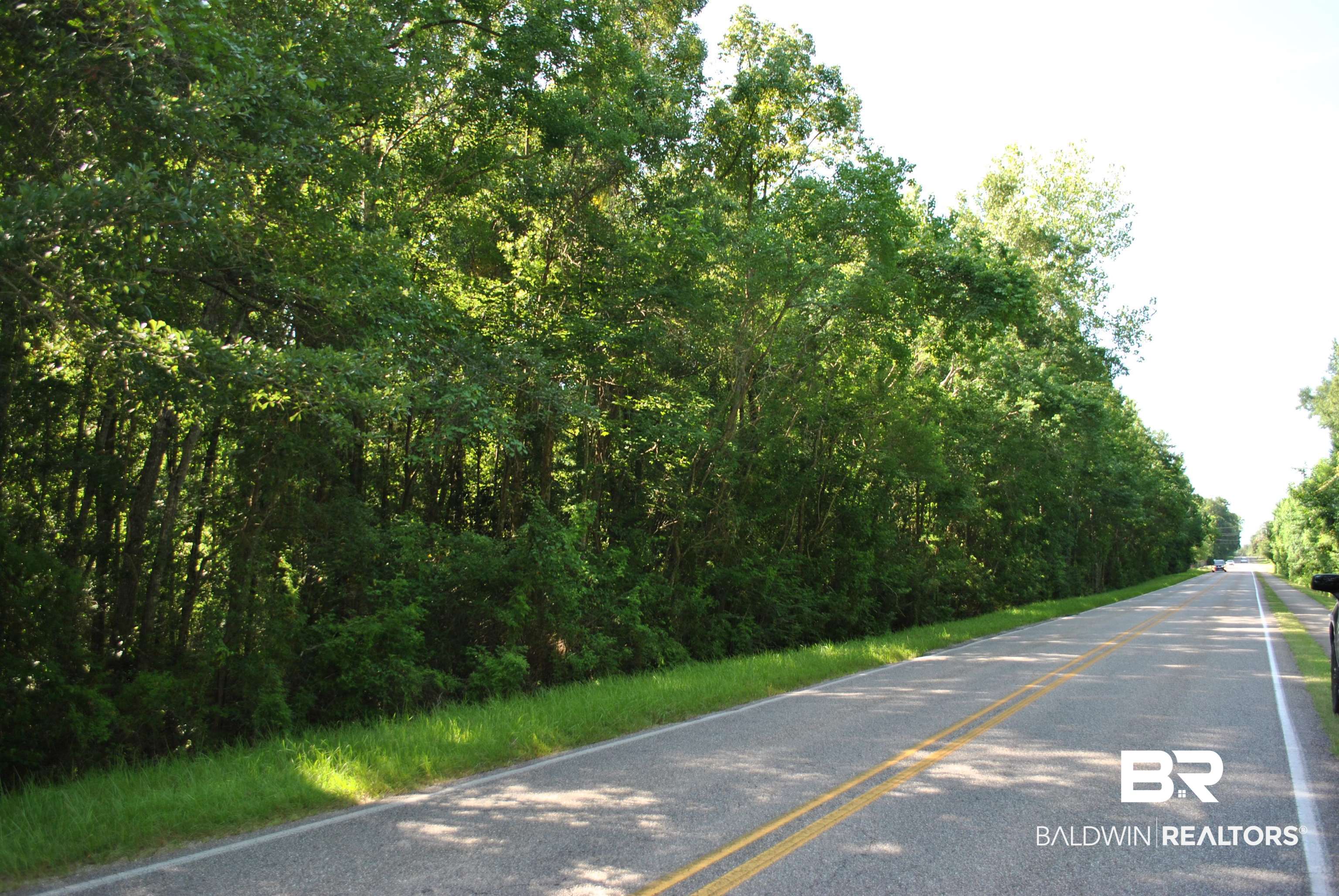 0 Boothe Road Fairhope, AL 36532 - Photo 4 of 7 View of asphalt road with a wooded view