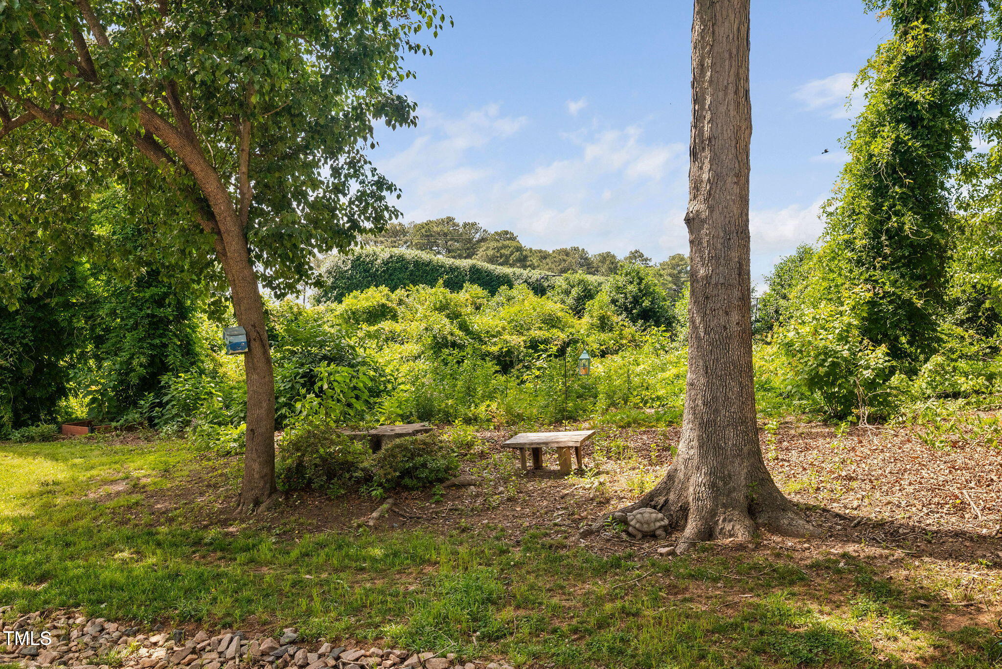 6565 New Market Way Raleigh, NC 27615 - Photo 23 of 29 Your view from the deck!
