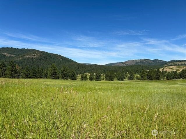 1239 Kewa-Meteor Road Inchelium, WA 99138 - Photo 26 of 26