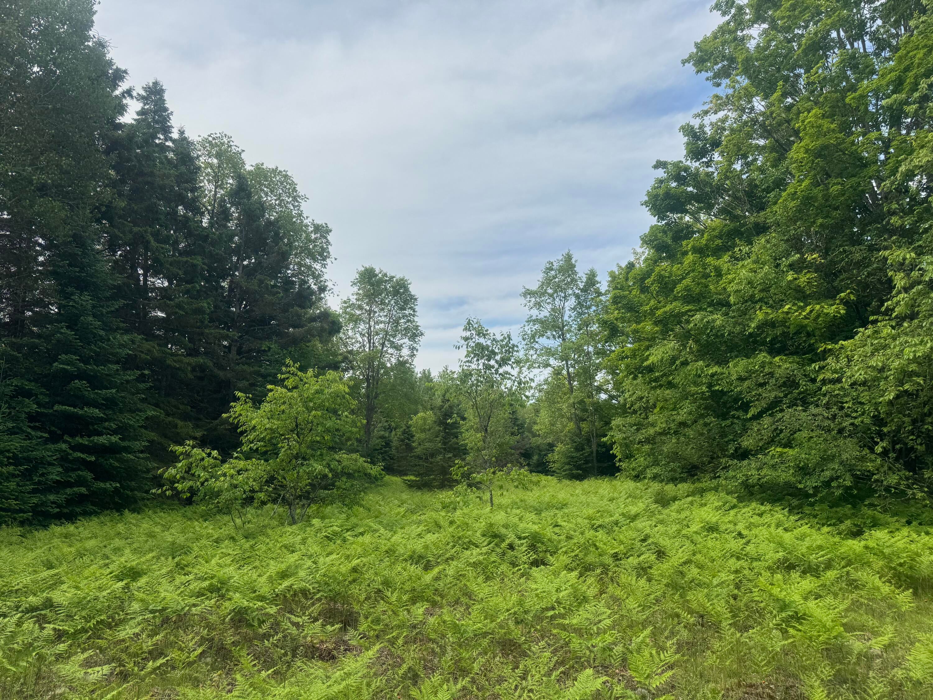 N4996 Ford Lake Road Germfask, MI 49836 - Photo 20 of 27 Gallery Image 20